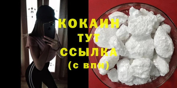 стаф Аркадак