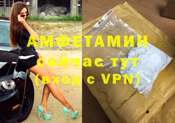 стаф Аркадак