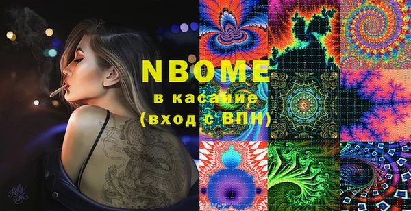 стаф Аркадак