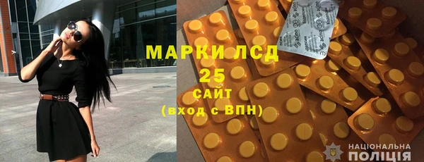 стаф Аркадак