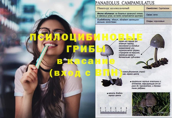 гашик Осинники