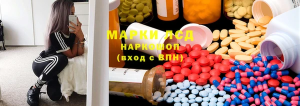 стаф Аркадак