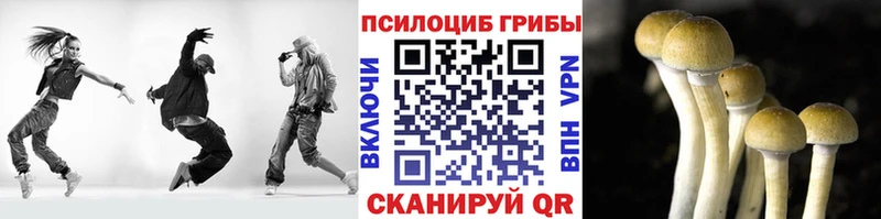 Галлюциногенные грибы Psilocybe Пошехонье