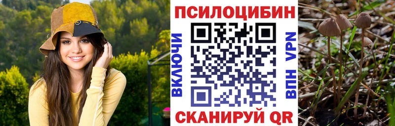 Галлюциногенные грибы MAGIC MUSHROOMS  Пошехонье 